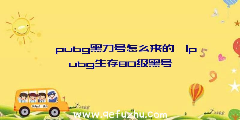 「pubg黑刀号怎么来的」|pubg生存80级黑号